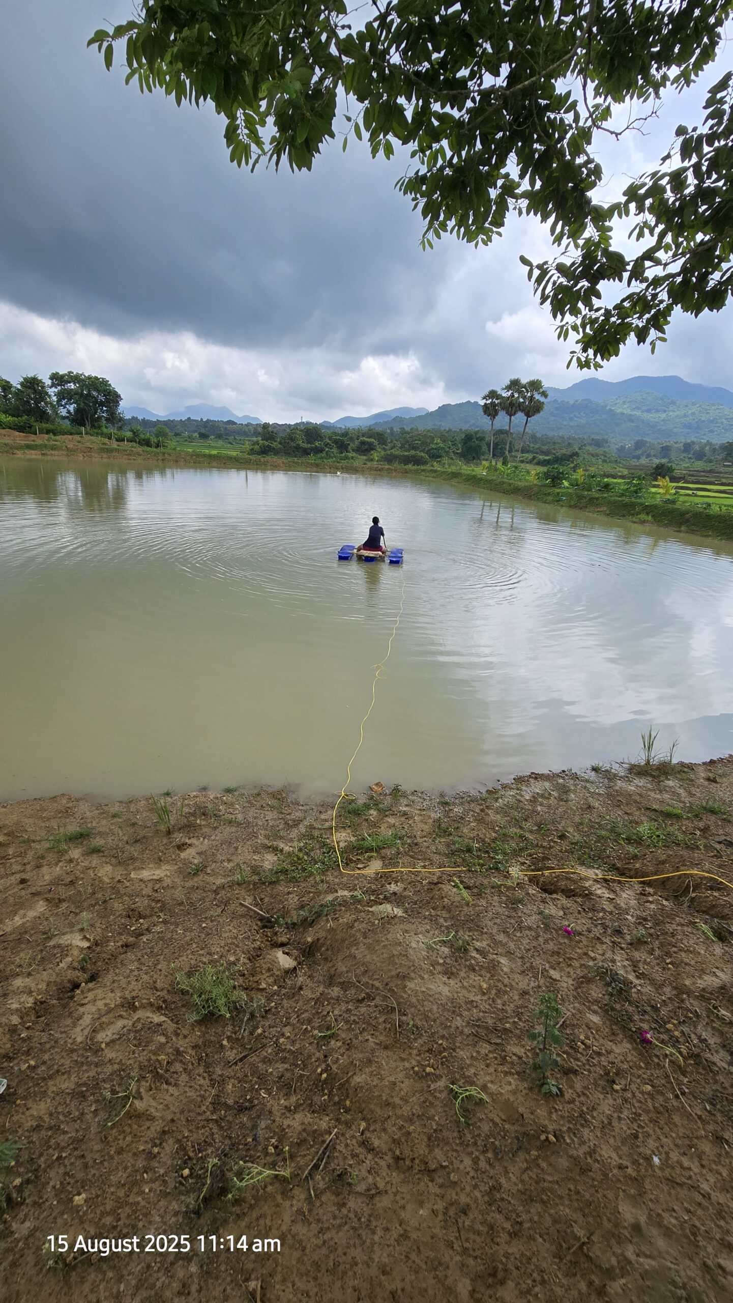 Integrated Farming