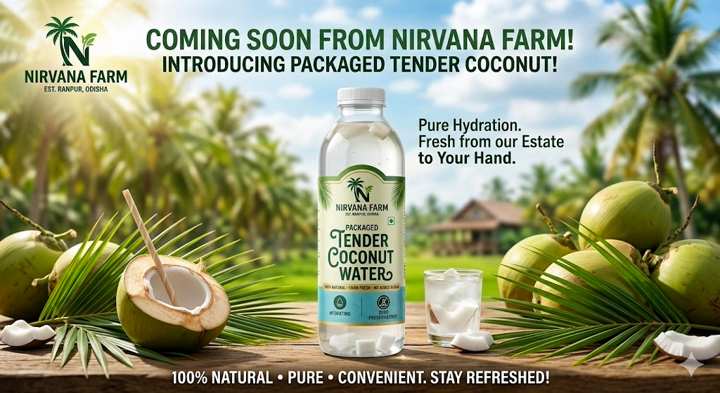 Tender Coconut